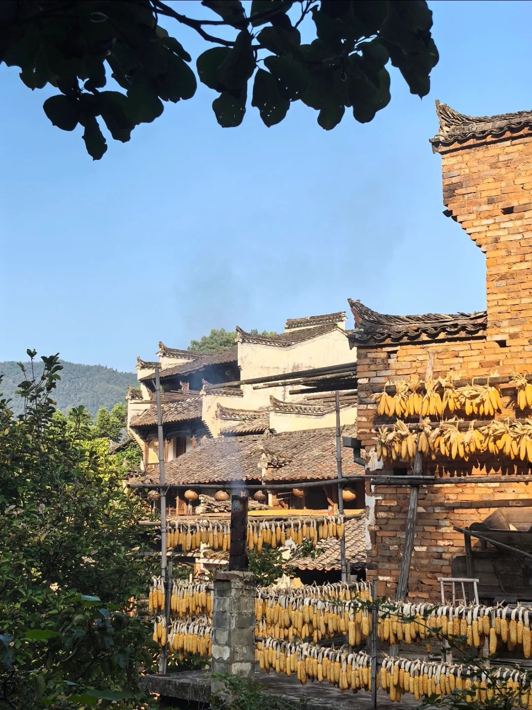 保姆级篁岭晒秋攻略！本地人亲授路线+打卡点_17_凡物可观_江西婺源-来自52tours 我爱旅游网